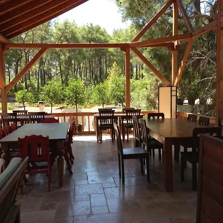 Отель Olympos Village 2*