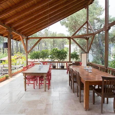 Отель Olympos Village Kumluca