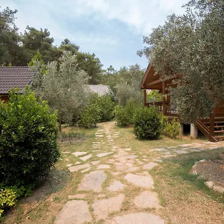 Отель Olympos Village 2*