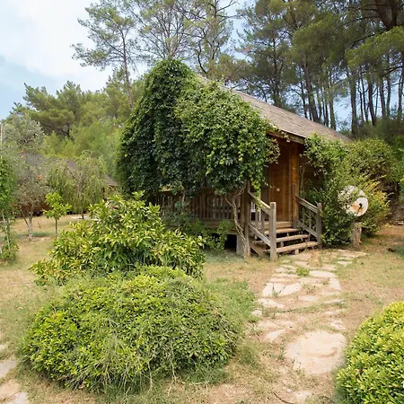 Olympos Village Отель 2*