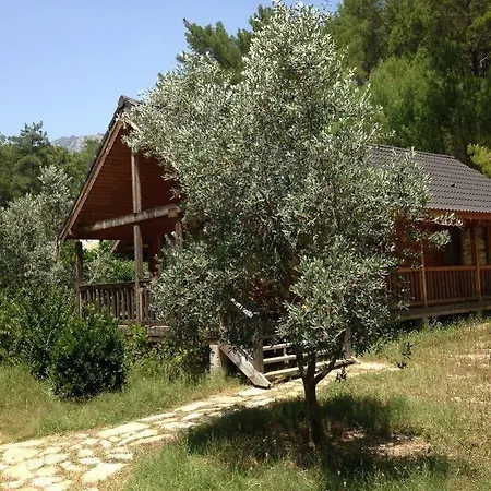 Отель Olympos Village Kumluca