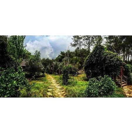 Отель Olympos Village Kumluca